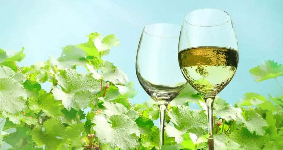 House Image of Beneficios de Tomar Vino Blanco: Un Brindis por la Salud y el Placer