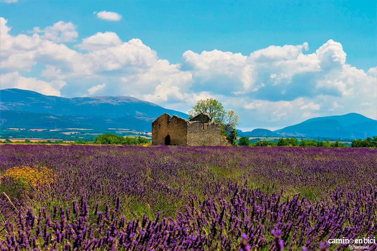 House Image of Guía de Viaje al Sur de Francia