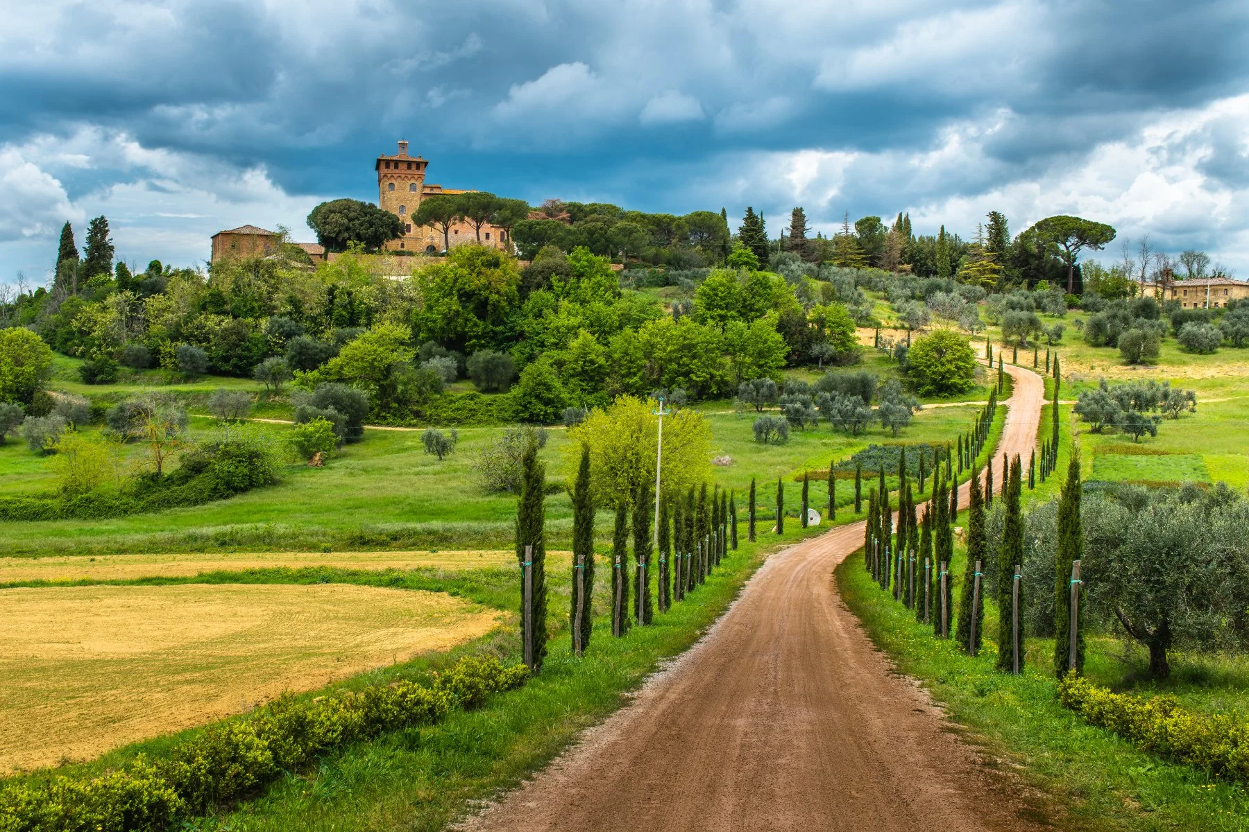 House Image of Guía de Viaje a Toscana: Un Tesoro de Paisajes, Cultura y Gastronomía