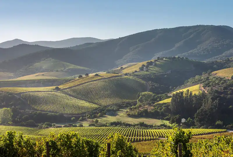 House Image of Rutas del Vino en Chile: Un Recorrido Vitivinícola de Norte a Sur