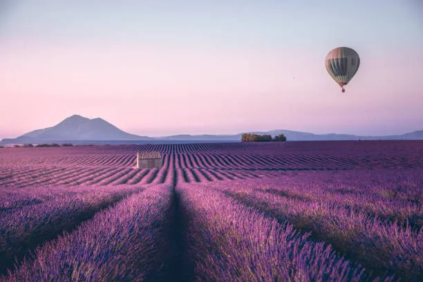 House Image of 10 Experiencias de Lujo para tus Vacaciones en el Sur de Francia